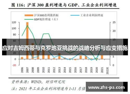 应对吉姆西蒂与克罗地亚挑战的战略分析与应变措施 应对吉姆西蒂与克罗地亚挑战的战略分析与应变措施