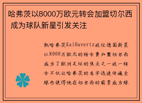 哈弗茨以8000万欧元转会加盟切尔西 成为球队新星引发关注